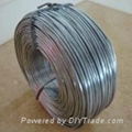 Galvanized wire 1