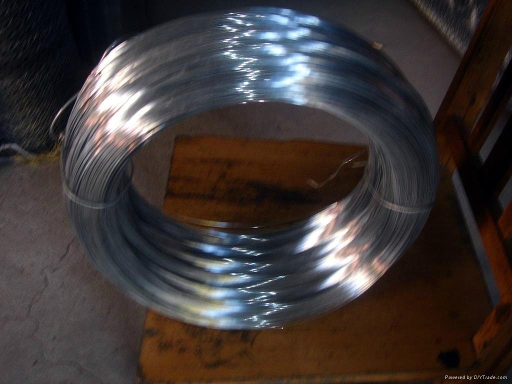 Stainless Steel wire