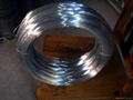 Stainless Steel wire 1