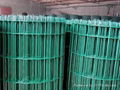 Holland wire mesh