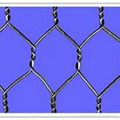 Hexagonal wire mesh