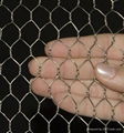 Hexagonal wire mesh 2