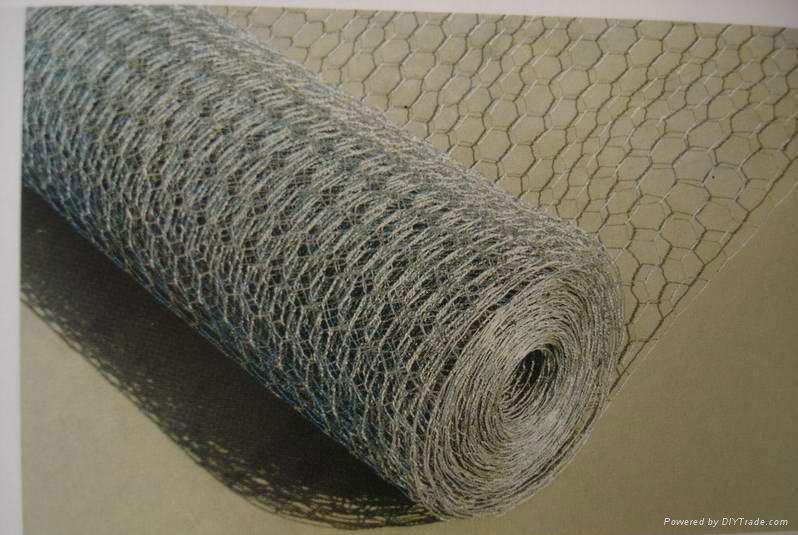 Hexagonal wire mesh 3