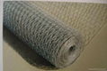 Hexagonal wire mesh 3