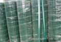 Holland wire mesh 4