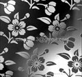 Decorative (Etched) Stainless Steel Sheet