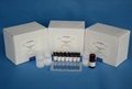 REAGEN Aflatoxin B1 ELISA Test Kit