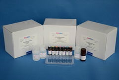 REAGEN Aflatoxin B1 ELISA Test Kit