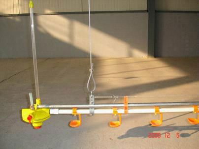 Poultry Farming Equipment  2