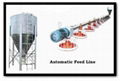 Broiler Feeding System