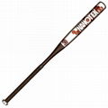 Anderson Bat Company 2012 NanoTek XP (-10) Youth Baseball Bat  1