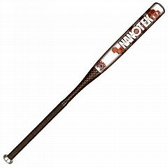 Anderson Bat Company 2012 NanoTek XP (-10) Youth Baseball Bat 