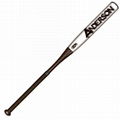 Anderson Bat Company 2012 NanoTek XP (-12) Youth Baseball Bat   2