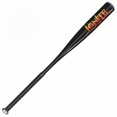 Anderson Bat Company 2012 Ignite XS (-3) BBCOR Adult Baseball Bat