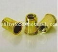 small head round body rivet nut