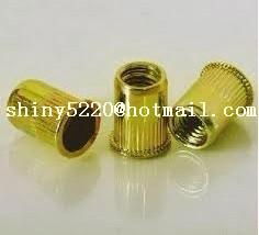 small head round body rivet nut