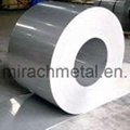 Stainless Steel Coil (201, 202)