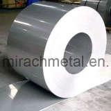 Stainless Steel Coil (201, 202)