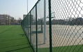 chain link fence 2