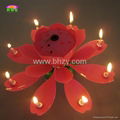 Chrysanthemum flower flame birthday