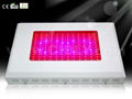 144X3W LED Grow Lights 1