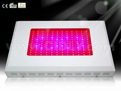 144X3W LED Grow Lights