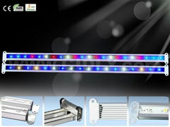 60cm Led Magic DIY Grow Light