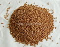 Roasted Buckwheat Kernel 1