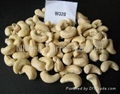 Cashew nut