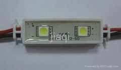 Current Flow Waterproof 2 leds 5050 SMD module