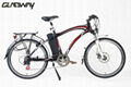 lithium electric bicycle