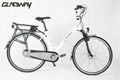 lithium battery electric bicycle 1