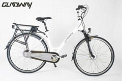 lithium battery electric bicycle