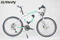 26" lithium battery electric bicycle 1