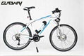 26" lithium battery electric bicycle