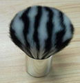 Kabuki brush