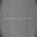 100% Polyester Micro Anti pilling Polar Fleece Fabric 1