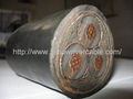 HV Cu/XLPE/PVC/STA Power Cable