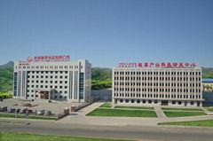 chengde shenli food company limited