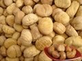 freeze dried peeled chestnut