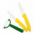 Garlic Peeler 4