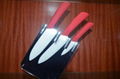 Ceramic Knife Set 1