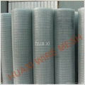 Welded Wire Mesh