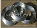 Galvanized  Wire