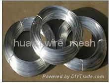 Galvanized  Wire