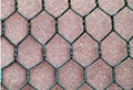 Hexagonal  Wire  Mesh  3