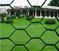 Hexagonal  Wire  Mesh  4