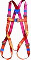 FULL BODY SAFETY HARNESS 1