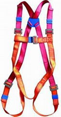 FULL BODY SAFETY HARNESS