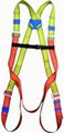 FULL BODY SAFETY HARNESS 2